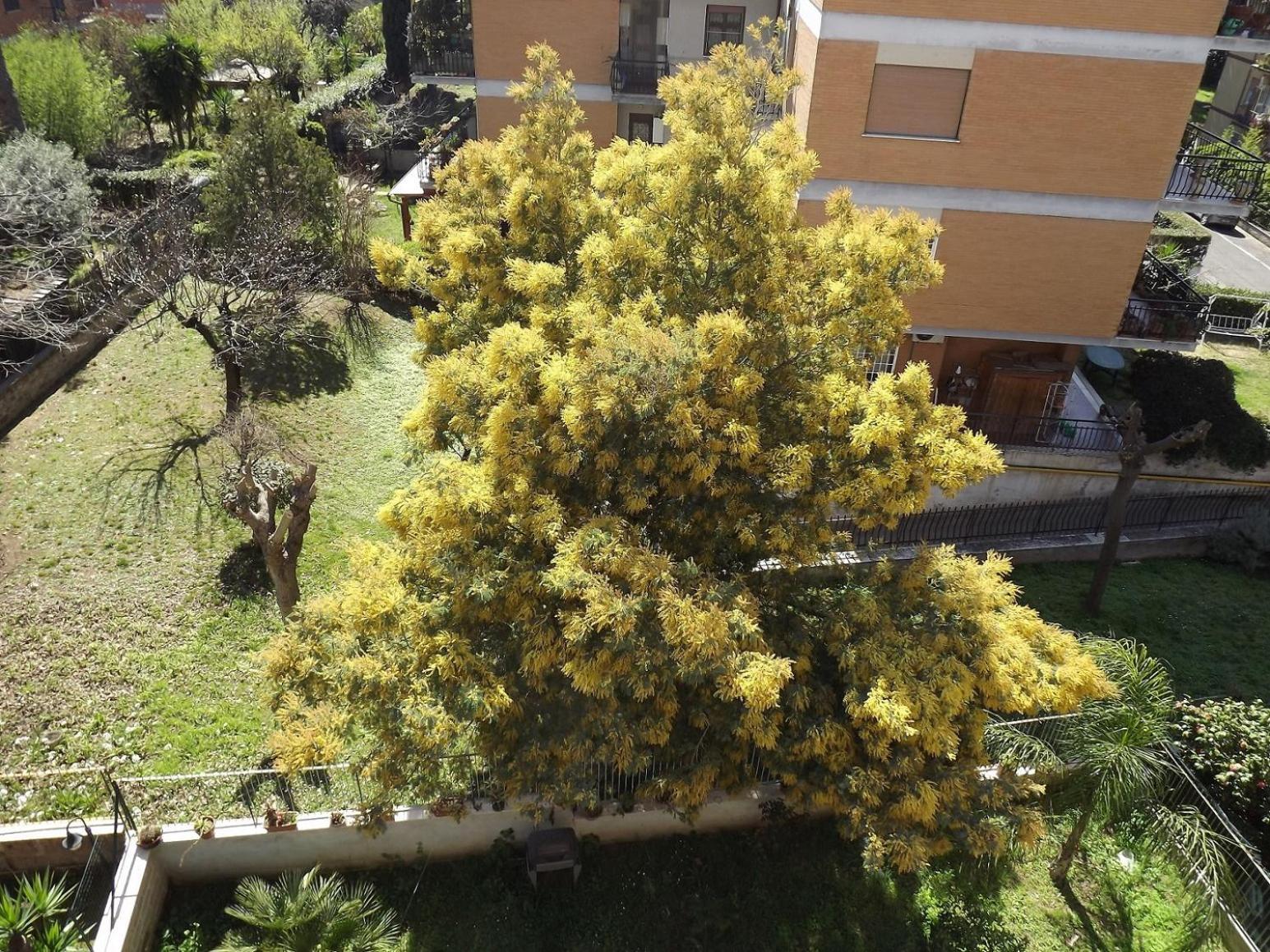 Appartement Gilda Vacanze Metro Battistini à Rome Extérieur photo